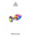 Plug bijou aluminium Rainbow XS - Hidden Eden